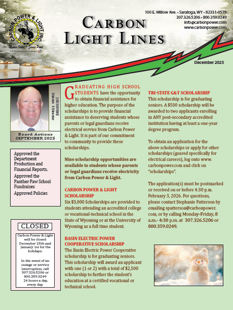 Light Lines Dec 2025
